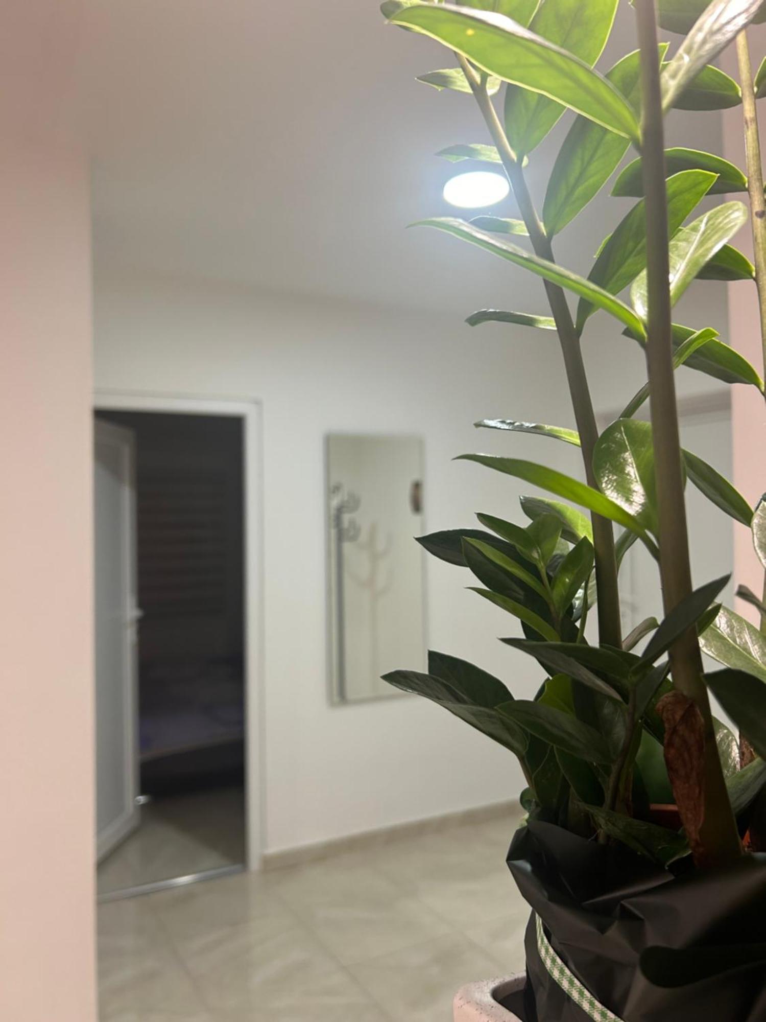 Apartman Diamond Lux Surcin Exterior photo