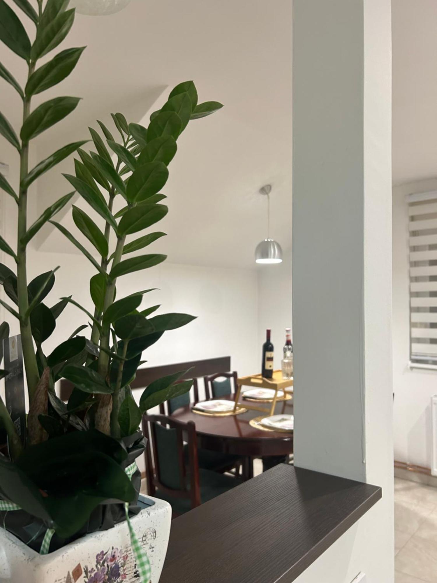 Apartman Diamond Lux Surcin Exterior photo